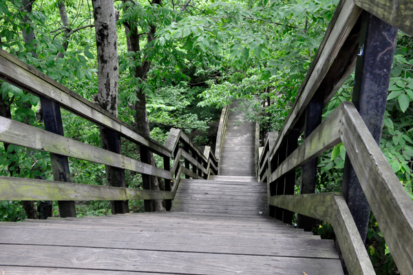 50 stairs dow to Griggs Nature Center